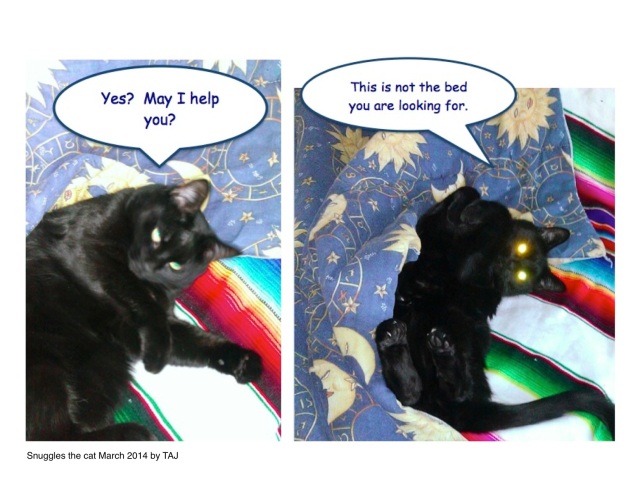 8-comic bubbles snuggles cat march 2014.3