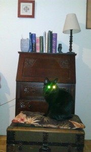 Black cat with glowing eyes