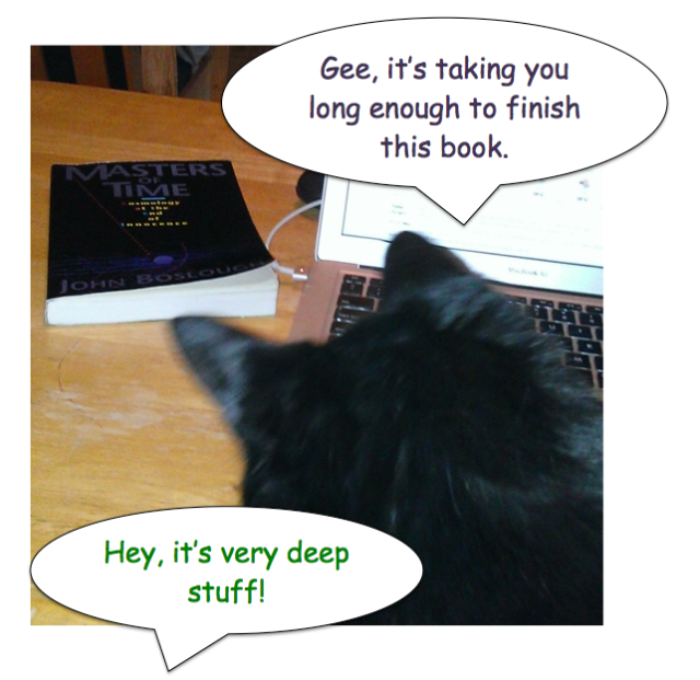 Black cat critiquing human reading abilities