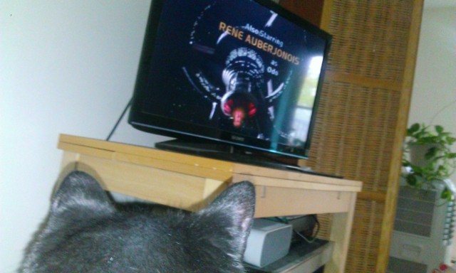 black cat ears in front of tv displaying DS9