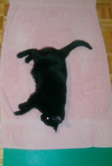 black cat on yoga mat